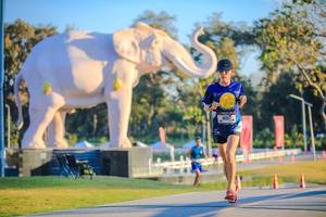 BIB: 
                            <button type="button" onclick="openModal(26183504)" class="btn btn-primary btn-sm float-right btn-popup" data-toggle="modal" data-target=".modal-high-quality">
                        <i class="fas fa-shopping-cart"></i> Add to Cart
                    </button>
                                            <button type="button" onclick="isThisMe(26183504, true)" class="btn btn-success btn-sm float-right btn-popup btn-isme hidden" data-toggle="tooltip" data-placement="bottom" title="นี่คือรูปของคุณใช่ไหม คลิกที่นี่เพื่อเอาเข้าอัลบั้ม">
                        <i class="fas fa-plus"></i> Add to album
                    </button>
                    <button type="button" onclick="isThisMe(26183504, false)" class="btn btn-warning btn-sm float-right btn-popup btn-isnotme hidden">
                        <i class="fas fa-ban"></i> Remove from album
                    </button>