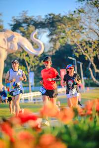 BIB: 
                            <button type="button" onclick="openModal(26183926)" class="btn btn-primary btn-sm float-right btn-popup" data-toggle="modal" data-target=".modal-high-quality">
                        <i class="fas fa-shopping-cart"></i> Add to Cart
                    </button>
                                            <button type="button" onclick="isThisMe(26183926, true)" class="btn btn-success btn-sm float-right btn-popup btn-isme hidden" data-toggle="tooltip" data-placement="bottom" title="นี่คือรูปของคุณใช่ไหม คลิกที่นี่เพื่อเอาเข้าอัลบั้ม">
                        <i class="fas fa-plus"></i> Add to album
                    </button>
                    <button type="button" onclick="isThisMe(26183926, false)" class="btn btn-warning btn-sm float-right btn-popup btn-isnotme hidden">
                        <i class="fas fa-ban"></i> Remove from album
                    </button>