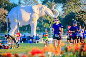 BIB: 
                            <button type="button" onclick="openModal(26184018)" class="btn btn-primary btn-sm float-right btn-popup" data-toggle="modal" data-target=".modal-high-quality">
                        <i class="fas fa-shopping-cart"></i> Add to Cart
                    </button>
                                            <button type="button" onclick="isThisMe(26184018, true)" class="btn btn-success btn-sm float-right btn-popup btn-isme hidden" data-toggle="tooltip" data-placement="bottom" title="นี่คือรูปของคุณใช่ไหม คลิกที่นี่เพื่อเอาเข้าอัลบั้ม">
                        <i class="fas fa-plus"></i> Add to album
                    </button>
                    <button type="button" onclick="isThisMe(26184018, false)" class="btn btn-warning btn-sm float-right btn-popup btn-isnotme hidden">
                        <i class="fas fa-ban"></i> Remove from album
                    </button>