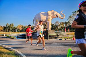 BIB: 
                            <button type="button" onclick="openModal(26186426)" class="btn btn-primary btn-sm float-right btn-popup" data-toggle="modal" data-target=".modal-high-quality">
                        <i class="fas fa-shopping-cart"></i> Add to Cart
                    </button>
                                            <button type="button" onclick="isThisMe(26186426, true)" class="btn btn-success btn-sm float-right btn-popup btn-isme hidden" data-toggle="tooltip" data-placement="bottom" title="นี่คือรูปของคุณใช่ไหม คลิกที่นี่เพื่อเอาเข้าอัลบั้ม">
                        <i class="fas fa-plus"></i> Add to album
                    </button>
                    <button type="button" onclick="isThisMe(26186426, false)" class="btn btn-warning btn-sm float-right btn-popup btn-isnotme hidden">
                        <i class="fas fa-ban"></i> Remove from album
                    </button>