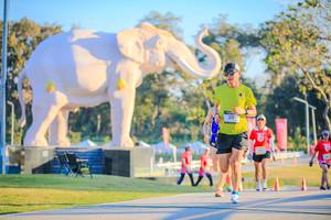 BIB: 
                            <button type="button" onclick="openModal(26183423)" class="btn btn-primary btn-sm float-right btn-popup" data-toggle="modal" data-target=".modal-high-quality">
                        <i class="fas fa-shopping-cart"></i> Add to Cart
                    </button>
                                            <button type="button" onclick="isThisMe(26183423, true)" class="btn btn-success btn-sm float-right btn-popup btn-isme hidden" data-toggle="tooltip" data-placement="bottom" title="นี่คือรูปของคุณใช่ไหม คลิกที่นี่เพื่อเอาเข้าอัลบั้ม">
                        <i class="fas fa-plus"></i> Add to album
                    </button>
                    <button type="button" onclick="isThisMe(26183423, false)" class="btn btn-warning btn-sm float-right btn-popup btn-isnotme hidden">
                        <i class="fas fa-ban"></i> Remove from album
                    </button>