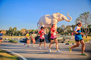 BIB: 
                            <button type="button" onclick="openModal(26186468)" class="btn btn-primary btn-sm float-right btn-popup" data-toggle="modal" data-target=".modal-high-quality">
                        <i class="fas fa-shopping-cart"></i> Add to Cart
                    </button>
                                            <button type="button" onclick="isThisMe(26186468, true)" class="btn btn-success btn-sm float-right btn-popup btn-isme hidden" data-toggle="tooltip" data-placement="bottom" title="นี่คือรูปของคุณใช่ไหม คลิกที่นี่เพื่อเอาเข้าอัลบั้ม">
                        <i class="fas fa-plus"></i> Add to album
                    </button>
                    <button type="button" onclick="isThisMe(26186468, false)" class="btn btn-warning btn-sm float-right btn-popup btn-isnotme hidden">
                        <i class="fas fa-ban"></i> Remove from album
                    </button>