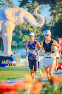 BIB: 
                            <button type="button" onclick="openModal(26183888)" class="btn btn-primary btn-sm float-right btn-popup" data-toggle="modal" data-target=".modal-high-quality">
                        <i class="fas fa-shopping-cart"></i> Add to Cart
                    </button>
                                            <button type="button" onclick="isThisMe(26183888, true)" class="btn btn-success btn-sm float-right btn-popup btn-isme hidden" data-toggle="tooltip" data-placement="bottom" title="นี่คือรูปของคุณใช่ไหม คลิกที่นี่เพื่อเอาเข้าอัลบั้ม">
                        <i class="fas fa-plus"></i> Add to album
                    </button>
                    <button type="button" onclick="isThisMe(26183888, false)" class="btn btn-warning btn-sm float-right btn-popup btn-isnotme hidden">
                        <i class="fas fa-ban"></i> Remove from album
                    </button>