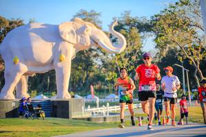 BIB: 
                            <button type="button" onclick="openModal(26183596)" class="btn btn-primary btn-sm float-right btn-popup" data-toggle="modal" data-target=".modal-high-quality">
                        <i class="fas fa-shopping-cart"></i> Add to Cart
                    </button>
                                            <button type="button" onclick="isThisMe(26183596, true)" class="btn btn-success btn-sm float-right btn-popup btn-isme hidden" data-toggle="tooltip" data-placement="bottom" title="นี่คือรูปของคุณใช่ไหม คลิกที่นี่เพื่อเอาเข้าอัลบั้ม">
                        <i class="fas fa-plus"></i> Add to album
                    </button>
                    <button type="button" onclick="isThisMe(26183596, false)" class="btn btn-warning btn-sm float-right btn-popup btn-isnotme hidden">
                        <i class="fas fa-ban"></i> Remove from album
                    </button>