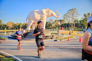 BIB: 
                            <button type="button" onclick="openModal(26186611)" class="btn btn-primary btn-sm float-right btn-popup" data-toggle="modal" data-target=".modal-high-quality">
                        <i class="fas fa-shopping-cart"></i> Add to Cart
                    </button>
                                            <button type="button" onclick="isThisMe(26186611, true)" class="btn btn-success btn-sm float-right btn-popup btn-isme hidden" data-toggle="tooltip" data-placement="bottom" title="นี่คือรูปของคุณใช่ไหม คลิกที่นี่เพื่อเอาเข้าอัลบั้ม">
                        <i class="fas fa-plus"></i> Add to album
                    </button>
                    <button type="button" onclick="isThisMe(26186611, false)" class="btn btn-warning btn-sm float-right btn-popup btn-isnotme hidden">
                        <i class="fas fa-ban"></i> Remove from album
                    </button>