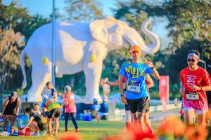 BIB: 
                            <button type="button" onclick="openModal(26183963)" class="btn btn-primary btn-sm float-right btn-popup" data-toggle="modal" data-target=".modal-high-quality">
                        <i class="fas fa-shopping-cart"></i> Add to Cart
                    </button>
                                            <button type="button" onclick="isThisMe(26183963, true)" class="btn btn-success btn-sm float-right btn-popup btn-isme hidden" data-toggle="tooltip" data-placement="bottom" title="นี่คือรูปของคุณใช่ไหม คลิกที่นี่เพื่อเอาเข้าอัลบั้ม">
                        <i class="fas fa-plus"></i> Add to album
                    </button>
                    <button type="button" onclick="isThisMe(26183963, false)" class="btn btn-warning btn-sm float-right btn-popup btn-isnotme hidden">
                        <i class="fas fa-ban"></i> Remove from album
                    </button>