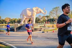 BIB: 
                            <button type="button" onclick="openModal(26186613)" class="btn btn-primary btn-sm float-right btn-popup" data-toggle="modal" data-target=".modal-high-quality">
                        <i class="fas fa-shopping-cart"></i> Add to Cart
                    </button>
                                            <button type="button" onclick="isThisMe(26186613, true)" class="btn btn-success btn-sm float-right btn-popup btn-isme hidden" data-toggle="tooltip" data-placement="bottom" title="นี่คือรูปของคุณใช่ไหม คลิกที่นี่เพื่อเอาเข้าอัลบั้ม">
                        <i class="fas fa-plus"></i> Add to album
                    </button>
                    <button type="button" onclick="isThisMe(26186613, false)" class="btn btn-warning btn-sm float-right btn-popup btn-isnotme hidden">
                        <i class="fas fa-ban"></i> Remove from album
                    </button>