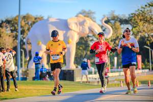 BIB: 
                            <button type="button" onclick="openModal(26183677)" class="btn btn-primary btn-sm float-right btn-popup" data-toggle="modal" data-target=".modal-high-quality">
                        <i class="fas fa-shopping-cart"></i> Add to Cart
                    </button>
                                            <button type="button" onclick="isThisMe(26183677, true)" class="btn btn-success btn-sm float-right btn-popup btn-isme hidden" data-toggle="tooltip" data-placement="bottom" title="นี่คือรูปของคุณใช่ไหม คลิกที่นี่เพื่อเอาเข้าอัลบั้ม">
                        <i class="fas fa-plus"></i> Add to album
                    </button>
                    <button type="button" onclick="isThisMe(26183677, false)" class="btn btn-warning btn-sm float-right btn-popup btn-isnotme hidden">
                        <i class="fas fa-ban"></i> Remove from album
                    </button>