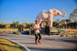 BIB: 
                            <button type="button" onclick="openModal(26186431)" class="btn btn-primary btn-sm float-right btn-popup" data-toggle="modal" data-target=".modal-high-quality">
                        <i class="fas fa-shopping-cart"></i> Add to Cart
                    </button>
                                            <button type="button" onclick="isThisMe(26186431, true)" class="btn btn-success btn-sm float-right btn-popup btn-isme hidden" data-toggle="tooltip" data-placement="bottom" title="นี่คือรูปของคุณใช่ไหม คลิกที่นี่เพื่อเอาเข้าอัลบั้ม">
                        <i class="fas fa-plus"></i> Add to album
                    </button>
                    <button type="button" onclick="isThisMe(26186431, false)" class="btn btn-warning btn-sm float-right btn-popup btn-isnotme hidden">
                        <i class="fas fa-ban"></i> Remove from album
                    </button>