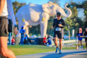 BIB: 
                            <button type="button" onclick="openModal(26183664)" class="btn btn-primary btn-sm float-right btn-popup" data-toggle="modal" data-target=".modal-high-quality">
                        <i class="fas fa-shopping-cart"></i> Add to Cart
                    </button>
                                            <button type="button" onclick="isThisMe(26183664, true)" class="btn btn-success btn-sm float-right btn-popup btn-isme hidden" data-toggle="tooltip" data-placement="bottom" title="นี่คือรูปของคุณใช่ไหม คลิกที่นี่เพื่อเอาเข้าอัลบั้ม">
                        <i class="fas fa-plus"></i> Add to album
                    </button>
                    <button type="button" onclick="isThisMe(26183664, false)" class="btn btn-warning btn-sm float-right btn-popup btn-isnotme hidden">
                        <i class="fas fa-ban"></i> Remove from album
                    </button>