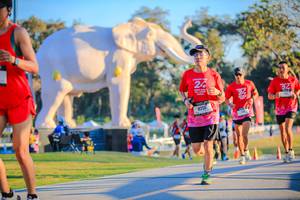 BIB: 
                            <button type="button" onclick="openModal(26183631)" class="btn btn-primary btn-sm float-right btn-popup" data-toggle="modal" data-target=".modal-high-quality">
                        <i class="fas fa-shopping-cart"></i> Add to Cart
                    </button>
                                            <button type="button" onclick="isThisMe(26183631, true)" class="btn btn-success btn-sm float-right btn-popup btn-isme hidden" data-toggle="tooltip" data-placement="bottom" title="นี่คือรูปของคุณใช่ไหม คลิกที่นี่เพื่อเอาเข้าอัลบั้ม">
                        <i class="fas fa-plus"></i> Add to album
                    </button>
                    <button type="button" onclick="isThisMe(26183631, false)" class="btn btn-warning btn-sm float-right btn-popup btn-isnotme hidden">
                        <i class="fas fa-ban"></i> Remove from album
                    </button>