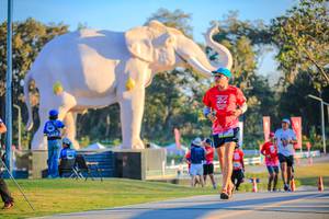 BIB: 
                            <button type="button" onclick="openModal(26183680)" class="btn btn-primary btn-sm float-right btn-popup" data-toggle="modal" data-target=".modal-high-quality">
                        <i class="fas fa-shopping-cart"></i> Add to Cart
                    </button>
                                            <button type="button" onclick="isThisMe(26183680, true)" class="btn btn-success btn-sm float-right btn-popup btn-isme hidden" data-toggle="tooltip" data-placement="bottom" title="นี่คือรูปของคุณใช่ไหม คลิกที่นี่เพื่อเอาเข้าอัลบั้ม">
                        <i class="fas fa-plus"></i> Add to album
                    </button>
                    <button type="button" onclick="isThisMe(26183680, false)" class="btn btn-warning btn-sm float-right btn-popup btn-isnotme hidden">
                        <i class="fas fa-ban"></i> Remove from album
                    </button>