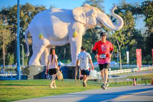 BIB: 
                            <button type="button" onclick="openModal(26183567)" class="btn btn-primary btn-sm float-right btn-popup" data-toggle="modal" data-target=".modal-high-quality">
                        <i class="fas fa-shopping-cart"></i> Add to Cart
                    </button>
                                            <button type="button" onclick="isThisMe(26183567, true)" class="btn btn-success btn-sm float-right btn-popup btn-isme hidden" data-toggle="tooltip" data-placement="bottom" title="นี่คือรูปของคุณใช่ไหม คลิกที่นี่เพื่อเอาเข้าอัลบั้ม">
                        <i class="fas fa-plus"></i> Add to album
                    </button>
                    <button type="button" onclick="isThisMe(26183567, false)" class="btn btn-warning btn-sm float-right btn-popup btn-isnotme hidden">
                        <i class="fas fa-ban"></i> Remove from album
                    </button>