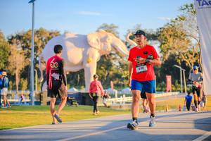 BIB: 
                            <button type="button" onclick="openModal(26183511)" class="btn btn-primary btn-sm float-right btn-popup" data-toggle="modal" data-target=".modal-high-quality">
                        <i class="fas fa-shopping-cart"></i> Add to Cart
                    </button>
                                            <button type="button" onclick="isThisMe(26183511, true)" class="btn btn-success btn-sm float-right btn-popup btn-isme hidden" data-toggle="tooltip" data-placement="bottom" title="นี่คือรูปของคุณใช่ไหม คลิกที่นี่เพื่อเอาเข้าอัลบั้ม">
                        <i class="fas fa-plus"></i> Add to album
                    </button>
                    <button type="button" onclick="isThisMe(26183511, false)" class="btn btn-warning btn-sm float-right btn-popup btn-isnotme hidden">
                        <i class="fas fa-ban"></i> Remove from album
                    </button>