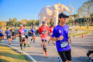 BIB: 
                            <button type="button" onclick="openModal(26186508)" class="btn btn-primary btn-sm float-right btn-popup" data-toggle="modal" data-target=".modal-high-quality">
                        <i class="fas fa-shopping-cart"></i> Add to Cart
                    </button>
                                            <button type="button" onclick="isThisMe(26186508, true)" class="btn btn-success btn-sm float-right btn-popup btn-isme hidden" data-toggle="tooltip" data-placement="bottom" title="นี่คือรูปของคุณใช่ไหม คลิกที่นี่เพื่อเอาเข้าอัลบั้ม">
                        <i class="fas fa-plus"></i> Add to album
                    </button>
                    <button type="button" onclick="isThisMe(26186508, false)" class="btn btn-warning btn-sm float-right btn-popup btn-isnotme hidden">
                        <i class="fas fa-ban"></i> Remove from album
                    </button>