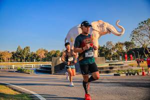 BIB: 
                            <button type="button" onclick="openModal(26186383)" class="btn btn-primary btn-sm float-right btn-popup" data-toggle="modal" data-target=".modal-high-quality">
                        <i class="fas fa-shopping-cart"></i> Add to Cart
                    </button>
                                            <button type="button" onclick="isThisMe(26186383, true)" class="btn btn-success btn-sm float-right btn-popup btn-isme hidden" data-toggle="tooltip" data-placement="bottom" title="นี่คือรูปของคุณใช่ไหม คลิกที่นี่เพื่อเอาเข้าอัลบั้ม">
                        <i class="fas fa-plus"></i> Add to album
                    </button>
                    <button type="button" onclick="isThisMe(26186383, false)" class="btn btn-warning btn-sm float-right btn-popup btn-isnotme hidden">
                        <i class="fas fa-ban"></i> Remove from album
                    </button>