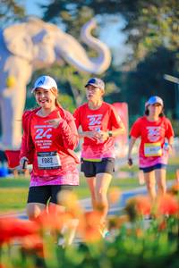 BIB: 
                            <button type="button" onclick="openModal(26183903)" class="btn btn-primary btn-sm float-right btn-popup" data-toggle="modal" data-target=".modal-high-quality">
                        <i class="fas fa-shopping-cart"></i> Add to Cart
                    </button>
                                            <button type="button" onclick="isThisMe(26183903, true)" class="btn btn-success btn-sm float-right btn-popup btn-isme hidden" data-toggle="tooltip" data-placement="bottom" title="นี่คือรูปของคุณใช่ไหม คลิกที่นี่เพื่อเอาเข้าอัลบั้ม">
                        <i class="fas fa-plus"></i> Add to album
                    </button>
                    <button type="button" onclick="isThisMe(26183903, false)" class="btn btn-warning btn-sm float-right btn-popup btn-isnotme hidden">
                        <i class="fas fa-ban"></i> Remove from album
                    </button>