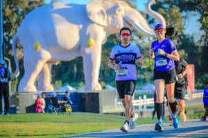 BIB: 
                            <button type="button" onclick="openModal(26183605)" class="btn btn-primary btn-sm float-right btn-popup" data-toggle="modal" data-target=".modal-high-quality">
                        <i class="fas fa-shopping-cart"></i> Add to Cart
                    </button>
                                            <button type="button" onclick="isThisMe(26183605, true)" class="btn btn-success btn-sm float-right btn-popup btn-isme hidden" data-toggle="tooltip" data-placement="bottom" title="นี่คือรูปของคุณใช่ไหม คลิกที่นี่เพื่อเอาเข้าอัลบั้ม">
                        <i class="fas fa-plus"></i> Add to album
                    </button>
                    <button type="button" onclick="isThisMe(26183605, false)" class="btn btn-warning btn-sm float-right btn-popup btn-isnotme hidden">
                        <i class="fas fa-ban"></i> Remove from album
                    </button>