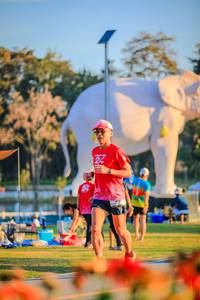 BIB: 
                            <button type="button" onclick="openModal(26183928)" class="btn btn-primary btn-sm float-right btn-popup" data-toggle="modal" data-target=".modal-high-quality">
                        <i class="fas fa-shopping-cart"></i> Add to Cart
                    </button>
                                            <button type="button" onclick="isThisMe(26183928, true)" class="btn btn-success btn-sm float-right btn-popup btn-isme hidden" data-toggle="tooltip" data-placement="bottom" title="นี่คือรูปของคุณใช่ไหม คลิกที่นี่เพื่อเอาเข้าอัลบั้ม">
                        <i class="fas fa-plus"></i> Add to album
                    </button>
                    <button type="button" onclick="isThisMe(26183928, false)" class="btn btn-warning btn-sm float-right btn-popup btn-isnotme hidden">
                        <i class="fas fa-ban"></i> Remove from album
                    </button>