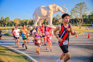 BIB: 
                            <button type="button" onclick="openModal(26186550)" class="btn btn-primary btn-sm float-right btn-popup" data-toggle="modal" data-target=".modal-high-quality">
                        <i class="fas fa-shopping-cart"></i> Add to Cart
                    </button>
                                            <button type="button" onclick="isThisMe(26186550, true)" class="btn btn-success btn-sm float-right btn-popup btn-isme hidden" data-toggle="tooltip" data-placement="bottom" title="นี่คือรูปของคุณใช่ไหม คลิกที่นี่เพื่อเอาเข้าอัลบั้ม">
                        <i class="fas fa-plus"></i> Add to album
                    </button>
                    <button type="button" onclick="isThisMe(26186550, false)" class="btn btn-warning btn-sm float-right btn-popup btn-isnotme hidden">
                        <i class="fas fa-ban"></i> Remove from album
                    </button>