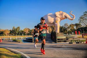 BIB: 
                            <button type="button" onclick="openModal(26186382)" class="btn btn-primary btn-sm float-right btn-popup" data-toggle="modal" data-target=".modal-high-quality">
                        <i class="fas fa-shopping-cart"></i> Add to Cart
                    </button>
                                            <button type="button" onclick="isThisMe(26186382, true)" class="btn btn-success btn-sm float-right btn-popup btn-isme hidden" data-toggle="tooltip" data-placement="bottom" title="นี่คือรูปของคุณใช่ไหม คลิกที่นี่เพื่อเอาเข้าอัลบั้ม">
                        <i class="fas fa-plus"></i> Add to album
                    </button>
                    <button type="button" onclick="isThisMe(26186382, false)" class="btn btn-warning btn-sm float-right btn-popup btn-isnotme hidden">
                        <i class="fas fa-ban"></i> Remove from album
                    </button>