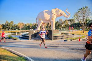 BIB: 
                            <button type="button" onclick="openModal(26186658)" class="btn btn-primary btn-sm float-right btn-popup" data-toggle="modal" data-target=".modal-high-quality">
                        <i class="fas fa-shopping-cart"></i> Add to Cart
                    </button>
                                            <button type="button" onclick="isThisMe(26186658, true)" class="btn btn-success btn-sm float-right btn-popup btn-isme hidden" data-toggle="tooltip" data-placement="bottom" title="นี่คือรูปของคุณใช่ไหม คลิกที่นี่เพื่อเอาเข้าอัลบั้ม">
                        <i class="fas fa-plus"></i> Add to album
                    </button>
                    <button type="button" onclick="isThisMe(26186658, false)" class="btn btn-warning btn-sm float-right btn-popup btn-isnotme hidden">
                        <i class="fas fa-ban"></i> Remove from album
                    </button>