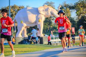 BIB: 
                            <button type="button" onclick="openModal(26183572)" class="btn btn-primary btn-sm float-right btn-popup" data-toggle="modal" data-target=".modal-high-quality">
                        <i class="fas fa-shopping-cart"></i> Add to Cart
                    </button>
                                            <button type="button" onclick="isThisMe(26183572, true)" class="btn btn-success btn-sm float-right btn-popup btn-isme hidden" data-toggle="tooltip" data-placement="bottom" title="นี่คือรูปของคุณใช่ไหม คลิกที่นี่เพื่อเอาเข้าอัลบั้ม">
                        <i class="fas fa-plus"></i> Add to album
                    </button>
                    <button type="button" onclick="isThisMe(26183572, false)" class="btn btn-warning btn-sm float-right btn-popup btn-isnotme hidden">
                        <i class="fas fa-ban"></i> Remove from album
                    </button>