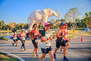 BIB: 
                            <button type="button" onclick="openModal(26186635)" class="btn btn-primary btn-sm float-right btn-popup" data-toggle="modal" data-target=".modal-high-quality">
                        <i class="fas fa-shopping-cart"></i> Add to Cart
                    </button>
                                            <button type="button" onclick="isThisMe(26186635, true)" class="btn btn-success btn-sm float-right btn-popup btn-isme hidden" data-toggle="tooltip" data-placement="bottom" title="นี่คือรูปของคุณใช่ไหม คลิกที่นี่เพื่อเอาเข้าอัลบั้ม">
                        <i class="fas fa-plus"></i> Add to album
                    </button>
                    <button type="button" onclick="isThisMe(26186635, false)" class="btn btn-warning btn-sm float-right btn-popup btn-isnotme hidden">
                        <i class="fas fa-ban"></i> Remove from album
                    </button>