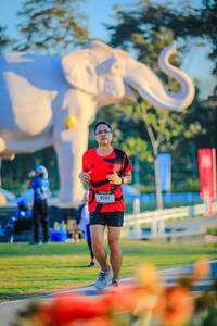 BIB: 
                            <button type="button" onclick="openModal(26183898)" class="btn btn-primary btn-sm float-right btn-popup" data-toggle="modal" data-target=".modal-high-quality">
                        <i class="fas fa-shopping-cart"></i> Add to Cart
                    </button>
                                            <button type="button" onclick="isThisMe(26183898, true)" class="btn btn-success btn-sm float-right btn-popup btn-isme hidden" data-toggle="tooltip" data-placement="bottom" title="นี่คือรูปของคุณใช่ไหม คลิกที่นี่เพื่อเอาเข้าอัลบั้ม">
                        <i class="fas fa-plus"></i> Add to album
                    </button>
                    <button type="button" onclick="isThisMe(26183898, false)" class="btn btn-warning btn-sm float-right btn-popup btn-isnotme hidden">
                        <i class="fas fa-ban"></i> Remove from album
                    </button>