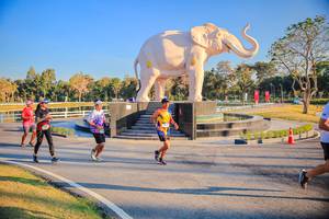 BIB: 
                            <button type="button" onclick="openModal(26186573)" class="btn btn-primary btn-sm float-right btn-popup" data-toggle="modal" data-target=".modal-high-quality">
                        <i class="fas fa-shopping-cart"></i> Add to Cart
                    </button>
                                            <button type="button" onclick="isThisMe(26186573, true)" class="btn btn-success btn-sm float-right btn-popup btn-isme hidden" data-toggle="tooltip" data-placement="bottom" title="นี่คือรูปของคุณใช่ไหม คลิกที่นี่เพื่อเอาเข้าอัลบั้ม">
                        <i class="fas fa-plus"></i> Add to album
                    </button>
                    <button type="button" onclick="isThisMe(26186573, false)" class="btn btn-warning btn-sm float-right btn-popup btn-isnotme hidden">
                        <i class="fas fa-ban"></i> Remove from album
                    </button>