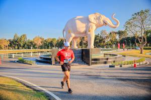 BIB: 
                            <button type="button" onclick="openModal(26186662)" class="btn btn-primary btn-sm float-right btn-popup" data-toggle="modal" data-target=".modal-high-quality">
                        <i class="fas fa-shopping-cart"></i> Add to Cart
                    </button>
                                            <button type="button" onclick="isThisMe(26186662, true)" class="btn btn-success btn-sm float-right btn-popup btn-isme hidden" data-toggle="tooltip" data-placement="bottom" title="นี่คือรูปของคุณใช่ไหม คลิกที่นี่เพื่อเอาเข้าอัลบั้ม">
                        <i class="fas fa-plus"></i> Add to album
                    </button>
                    <button type="button" onclick="isThisMe(26186662, false)" class="btn btn-warning btn-sm float-right btn-popup btn-isnotme hidden">
                        <i class="fas fa-ban"></i> Remove from album
                    </button>