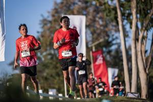 BIB: 
                            <button type="button" onclick="openModal(26164399)" class="btn btn-primary btn-sm float-right btn-popup" data-toggle="modal" data-target=".modal-high-quality">
                        <i class="fas fa-shopping-cart"></i> Add to Cart
                    </button>
                                            <button type="button" onclick="isThisMe(26164399, true)" class="btn btn-success btn-sm float-right btn-popup btn-isme hidden" data-toggle="tooltip" data-placement="bottom" title="นี่คือรูปของคุณใช่ไหม คลิกที่นี่เพื่อเอาเข้าอัลบั้ม">
                        <i class="fas fa-plus"></i> Add to album
                    </button>
                    <button type="button" onclick="isThisMe(26164399, false)" class="btn btn-warning btn-sm float-right btn-popup btn-isnotme hidden">
                        <i class="fas fa-ban"></i> Remove from album
                    </button>