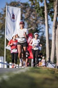 BIB: 
                            <button type="button" onclick="openModal(26163320)" class="btn btn-primary btn-sm float-right btn-popup" data-toggle="modal" data-target=".modal-high-quality">
                        <i class="fas fa-shopping-cart"></i> Add to Cart
                    </button>
                                            <button type="button" onclick="isThisMe(26163320, true)" class="btn btn-success btn-sm float-right btn-popup btn-isme hidden" data-toggle="tooltip" data-placement="bottom" title="นี่คือรูปของคุณใช่ไหม คลิกที่นี่เพื่อเอาเข้าอัลบั้ม">
                        <i class="fas fa-plus"></i> Add to album
                    </button>
                    <button type="button" onclick="isThisMe(26163320, false)" class="btn btn-warning btn-sm float-right btn-popup btn-isnotme hidden">
                        <i class="fas fa-ban"></i> Remove from album
                    </button>