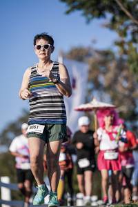 BIB: 
                            <button type="button" onclick="openModal(26163546)" class="btn btn-primary btn-sm float-right btn-popup" data-toggle="modal" data-target=".modal-high-quality">
                        <i class="fas fa-shopping-cart"></i> Add to Cart
                    </button>
                                            <button type="button" onclick="isThisMe(26163546, true)" class="btn btn-success btn-sm float-right btn-popup btn-isme hidden" data-toggle="tooltip" data-placement="bottom" title="นี่คือรูปของคุณใช่ไหม คลิกที่นี่เพื่อเอาเข้าอัลบั้ม">
                        <i class="fas fa-plus"></i> Add to album
                    </button>
                    <button type="button" onclick="isThisMe(26163546, false)" class="btn btn-warning btn-sm float-right btn-popup btn-isnotme hidden">
                        <i class="fas fa-ban"></i> Remove from album
                    </button>