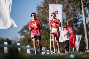 BIB: 
                            <button type="button" onclick="openModal(26164703)" class="btn btn-primary btn-sm float-right btn-popup" data-toggle="modal" data-target=".modal-high-quality">
                        <i class="fas fa-shopping-cart"></i> Add to Cart
                    </button>
                                            <button type="button" onclick="isThisMe(26164703, true)" class="btn btn-success btn-sm float-right btn-popup btn-isme hidden" data-toggle="tooltip" data-placement="bottom" title="นี่คือรูปของคุณใช่ไหม คลิกที่นี่เพื่อเอาเข้าอัลบั้ม">
                        <i class="fas fa-plus"></i> Add to album
                    </button>
                    <button type="button" onclick="isThisMe(26164703, false)" class="btn btn-warning btn-sm float-right btn-popup btn-isnotme hidden">
                        <i class="fas fa-ban"></i> Remove from album
                    </button>