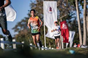 BIB: 
                            <button type="button" onclick="openModal(26164347)" class="btn btn-primary btn-sm float-right btn-popup" data-toggle="modal" data-target=".modal-high-quality">
                        <i class="fas fa-shopping-cart"></i> Add to Cart
                    </button>
                                            <button type="button" onclick="isThisMe(26164347, true)" class="btn btn-success btn-sm float-right btn-popup btn-isme hidden" data-toggle="tooltip" data-placement="bottom" title="นี่คือรูปของคุณใช่ไหม คลิกที่นี่เพื่อเอาเข้าอัลบั้ม">
                        <i class="fas fa-plus"></i> Add to album
                    </button>
                    <button type="button" onclick="isThisMe(26164347, false)" class="btn btn-warning btn-sm float-right btn-popup btn-isnotme hidden">
                        <i class="fas fa-ban"></i> Remove from album
                    </button>