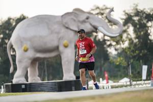 BIB: 
                            <button type="button" onclick="openModal(26178305)" class="btn btn-primary btn-sm float-right btn-popup" data-toggle="modal" data-target=".modal-high-quality">
                        <i class="fas fa-shopping-cart"></i> Add to Cart
                    </button>
                                            <button type="button" onclick="isThisMe(26178305, true)" class="btn btn-success btn-sm float-right btn-popup btn-isme hidden" data-toggle="tooltip" data-placement="bottom" title="นี่คือรูปของคุณใช่ไหม คลิกที่นี่เพื่อเอาเข้าอัลบั้ม">
                        <i class="fas fa-plus"></i> Add to album
                    </button>
                    <button type="button" onclick="isThisMe(26178305, false)" class="btn btn-warning btn-sm float-right btn-popup btn-isnotme hidden">
                        <i class="fas fa-ban"></i> Remove from album
                    </button>