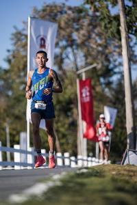 BIB: 
                            <button type="button" onclick="openModal(26163011)" class="btn btn-primary btn-sm float-right btn-popup" data-toggle="modal" data-target=".modal-high-quality">
                        <i class="fas fa-shopping-cart"></i> Add to Cart
                    </button>
                                            <button type="button" onclick="isThisMe(26163011, true)" class="btn btn-success btn-sm float-right btn-popup btn-isme hidden" data-toggle="tooltip" data-placement="bottom" title="นี่คือรูปของคุณใช่ไหม คลิกที่นี่เพื่อเอาเข้าอัลบั้ม">
                        <i class="fas fa-plus"></i> Add to album
                    </button>
                    <button type="button" onclick="isThisMe(26163011, false)" class="btn btn-warning btn-sm float-right btn-popup btn-isnotme hidden">
                        <i class="fas fa-ban"></i> Remove from album
                    </button>