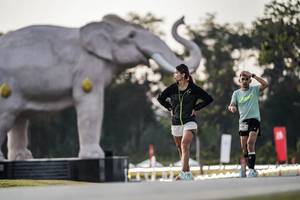 BIB: 
                            <button type="button" onclick="openModal(26178265)" class="btn btn-primary btn-sm float-right btn-popup" data-toggle="modal" data-target=".modal-high-quality">
                        <i class="fas fa-shopping-cart"></i> Add to Cart
                    </button>
                                            <button type="button" onclick="isThisMe(26178265, true)" class="btn btn-success btn-sm float-right btn-popup btn-isme hidden" data-toggle="tooltip" data-placement="bottom" title="นี่คือรูปของคุณใช่ไหม คลิกที่นี่เพื่อเอาเข้าอัลบั้ม">
                        <i class="fas fa-plus"></i> Add to album
                    </button>
                    <button type="button" onclick="isThisMe(26178265, false)" class="btn btn-warning btn-sm float-right btn-popup btn-isnotme hidden">
                        <i class="fas fa-ban"></i> Remove from album
                    </button>