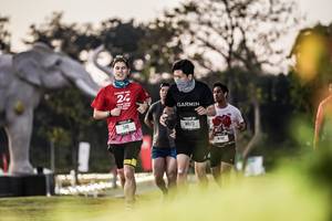 BIB: 
                            <button type="button" onclick="openModal(26178239)" class="btn btn-primary btn-sm float-right btn-popup" data-toggle="modal" data-target=".modal-high-quality">
                        <i class="fas fa-shopping-cart"></i> Add to Cart
                    </button>
                                            <button type="button" onclick="isThisMe(26178239, true)" class="btn btn-success btn-sm float-right btn-popup btn-isme hidden" data-toggle="tooltip" data-placement="bottom" title="นี่คือรูปของคุณใช่ไหม คลิกที่นี่เพื่อเอาเข้าอัลบั้ม">
                        <i class="fas fa-plus"></i> Add to album
                    </button>
                    <button type="button" onclick="isThisMe(26178239, false)" class="btn btn-warning btn-sm float-right btn-popup btn-isnotme hidden">
                        <i class="fas fa-ban"></i> Remove from album
                    </button>