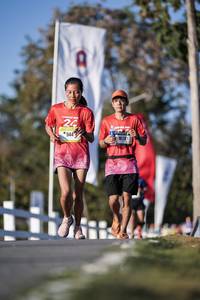 BIB: 
                            <button type="button" onclick="openModal(26163186)" class="btn btn-primary btn-sm float-right btn-popup" data-toggle="modal" data-target=".modal-high-quality">
                        <i class="fas fa-shopping-cart"></i> Add to Cart
                    </button>
                                            <button type="button" onclick="isThisMe(26163186, true)" class="btn btn-success btn-sm float-right btn-popup btn-isme hidden" data-toggle="tooltip" data-placement="bottom" title="นี่คือรูปของคุณใช่ไหม คลิกที่นี่เพื่อเอาเข้าอัลบั้ม">
                        <i class="fas fa-plus"></i> Add to album
                    </button>
                    <button type="button" onclick="isThisMe(26163186, false)" class="btn btn-warning btn-sm float-right btn-popup btn-isnotme hidden">
                        <i class="fas fa-ban"></i> Remove from album
                    </button>