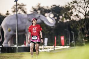 BIB: 
                            <button type="button" onclick="openModal(26178243)" class="btn btn-primary btn-sm float-right btn-popup" data-toggle="modal" data-target=".modal-high-quality">
                        <i class="fas fa-shopping-cart"></i> Add to Cart
                    </button>
                                            <button type="button" onclick="isThisMe(26178243, true)" class="btn btn-success btn-sm float-right btn-popup btn-isme hidden" data-toggle="tooltip" data-placement="bottom" title="นี่คือรูปของคุณใช่ไหม คลิกที่นี่เพื่อเอาเข้าอัลบั้ม">
                        <i class="fas fa-plus"></i> Add to album
                    </button>
                    <button type="button" onclick="isThisMe(26178243, false)" class="btn btn-warning btn-sm float-right btn-popup btn-isnotme hidden">
                        <i class="fas fa-ban"></i> Remove from album
                    </button>