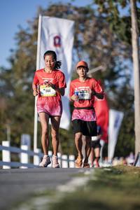 BIB: 
                            <button type="button" onclick="openModal(26163187)" class="btn btn-primary btn-sm float-right btn-popup" data-toggle="modal" data-target=".modal-high-quality">
                        <i class="fas fa-shopping-cart"></i> Add to Cart
                    </button>
                                            <button type="button" onclick="isThisMe(26163187, true)" class="btn btn-success btn-sm float-right btn-popup btn-isme hidden" data-toggle="tooltip" data-placement="bottom" title="นี่คือรูปของคุณใช่ไหม คลิกที่นี่เพื่อเอาเข้าอัลบั้ม">
                        <i class="fas fa-plus"></i> Add to album
                    </button>
                    <button type="button" onclick="isThisMe(26163187, false)" class="btn btn-warning btn-sm float-right btn-popup btn-isnotme hidden">
                        <i class="fas fa-ban"></i> Remove from album
                    </button>