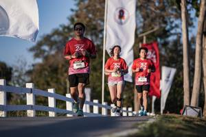 BIB: 
                            <button type="button" onclick="openModal(26165585)" class="btn btn-primary btn-sm float-right btn-popup" data-toggle="modal" data-target=".modal-high-quality">
                        <i class="fas fa-shopping-cart"></i> Add to Cart
                    </button>
                                            <button type="button" onclick="isThisMe(26165585, true)" class="btn btn-success btn-sm float-right btn-popup btn-isme hidden" data-toggle="tooltip" data-placement="bottom" title="นี่คือรูปของคุณใช่ไหม คลิกที่นี่เพื่อเอาเข้าอัลบั้ม">
                        <i class="fas fa-plus"></i> Add to album
                    </button>
                    <button type="button" onclick="isThisMe(26165585, false)" class="btn btn-warning btn-sm float-right btn-popup btn-isnotme hidden">
                        <i class="fas fa-ban"></i> Remove from album
                    </button>