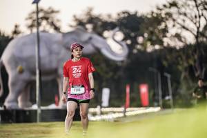 BIB: 
                            <button type="button" onclick="openModal(26178244)" class="btn btn-primary btn-sm float-right btn-popup" data-toggle="modal" data-target=".modal-high-quality">
                        <i class="fas fa-shopping-cart"></i> Add to Cart
                    </button>
                                            <button type="button" onclick="isThisMe(26178244, true)" class="btn btn-success btn-sm float-right btn-popup btn-isme hidden" data-toggle="tooltip" data-placement="bottom" title="นี่คือรูปของคุณใช่ไหม คลิกที่นี่เพื่อเอาเข้าอัลบั้ม">
                        <i class="fas fa-plus"></i> Add to album
                    </button>
                    <button type="button" onclick="isThisMe(26178244, false)" class="btn btn-warning btn-sm float-right btn-popup btn-isnotme hidden">
                        <i class="fas fa-ban"></i> Remove from album
                    </button>