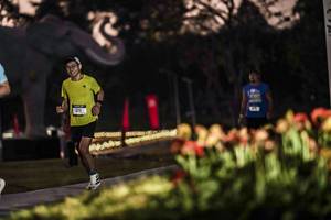 BIB: 
                            <button type="button" onclick="openModal(26178206)" class="btn btn-primary btn-sm float-right btn-popup" data-toggle="modal" data-target=".modal-high-quality">
                        <i class="fas fa-shopping-cart"></i> Add to Cart
                    </button>
                                            <button type="button" onclick="isThisMe(26178206, true)" class="btn btn-success btn-sm float-right btn-popup btn-isme hidden" data-toggle="tooltip" data-placement="bottom" title="นี่คือรูปของคุณใช่ไหม คลิกที่นี่เพื่อเอาเข้าอัลบั้ม">
                        <i class="fas fa-plus"></i> Add to album
                    </button>
                    <button type="button" onclick="isThisMe(26178206, false)" class="btn btn-warning btn-sm float-right btn-popup btn-isnotme hidden">
                        <i class="fas fa-ban"></i> Remove from album
                    </button>