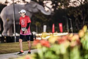 BIB: 
                            <button type="button" onclick="openModal(26178225)" class="btn btn-primary btn-sm float-right btn-popup" data-toggle="modal" data-target=".modal-high-quality">
                        <i class="fas fa-shopping-cart"></i> Add to Cart
                    </button>
                                            <button type="button" onclick="isThisMe(26178225, true)" class="btn btn-success btn-sm float-right btn-popup btn-isme hidden" data-toggle="tooltip" data-placement="bottom" title="นี่คือรูปของคุณใช่ไหม คลิกที่นี่เพื่อเอาเข้าอัลบั้ม">
                        <i class="fas fa-plus"></i> Add to album
                    </button>
                    <button type="button" onclick="isThisMe(26178225, false)" class="btn btn-warning btn-sm float-right btn-popup btn-isnotme hidden">
                        <i class="fas fa-ban"></i> Remove from album
                    </button>