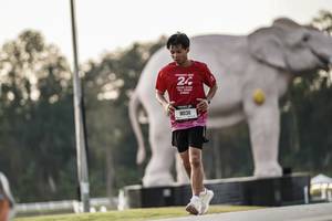 BIB: 
                            <button type="button" onclick="openModal(26178299)" class="btn btn-primary btn-sm float-right btn-popup" data-toggle="modal" data-target=".modal-high-quality">
                        <i class="fas fa-shopping-cart"></i> Add to Cart
                    </button>
                                            <button type="button" onclick="isThisMe(26178299, true)" class="btn btn-success btn-sm float-right btn-popup btn-isme hidden" data-toggle="tooltip" data-placement="bottom" title="นี่คือรูปของคุณใช่ไหม คลิกที่นี่เพื่อเอาเข้าอัลบั้ม">
                        <i class="fas fa-plus"></i> Add to album
                    </button>
                    <button type="button" onclick="isThisMe(26178299, false)" class="btn btn-warning btn-sm float-right btn-popup btn-isnotme hidden">
                        <i class="fas fa-ban"></i> Remove from album
                    </button>