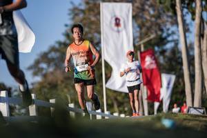 BIB: 
                            <button type="button" onclick="openModal(26164345)" class="btn btn-primary btn-sm float-right btn-popup" data-toggle="modal" data-target=".modal-high-quality">
                        <i class="fas fa-shopping-cart"></i> Add to Cart
                    </button>
                                            <button type="button" onclick="isThisMe(26164345, true)" class="btn btn-success btn-sm float-right btn-popup btn-isme hidden" data-toggle="tooltip" data-placement="bottom" title="นี่คือรูปของคุณใช่ไหม คลิกที่นี่เพื่อเอาเข้าอัลบั้ม">
                        <i class="fas fa-plus"></i> Add to album
                    </button>
                    <button type="button" onclick="isThisMe(26164345, false)" class="btn btn-warning btn-sm float-right btn-popup btn-isnotme hidden">
                        <i class="fas fa-ban"></i> Remove from album
                    </button>