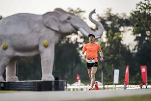 BIB: 
                            <button type="button" onclick="openModal(26178275)" class="btn btn-primary btn-sm float-right btn-popup" data-toggle="modal" data-target=".modal-high-quality">
                        <i class="fas fa-shopping-cart"></i> Add to Cart
                    </button>
                                            <button type="button" onclick="isThisMe(26178275, true)" class="btn btn-success btn-sm float-right btn-popup btn-isme hidden" data-toggle="tooltip" data-placement="bottom" title="นี่คือรูปของคุณใช่ไหม คลิกที่นี่เพื่อเอาเข้าอัลบั้ม">
                        <i class="fas fa-plus"></i> Add to album
                    </button>
                    <button type="button" onclick="isThisMe(26178275, false)" class="btn btn-warning btn-sm float-right btn-popup btn-isnotme hidden">
                        <i class="fas fa-ban"></i> Remove from album
                    </button>